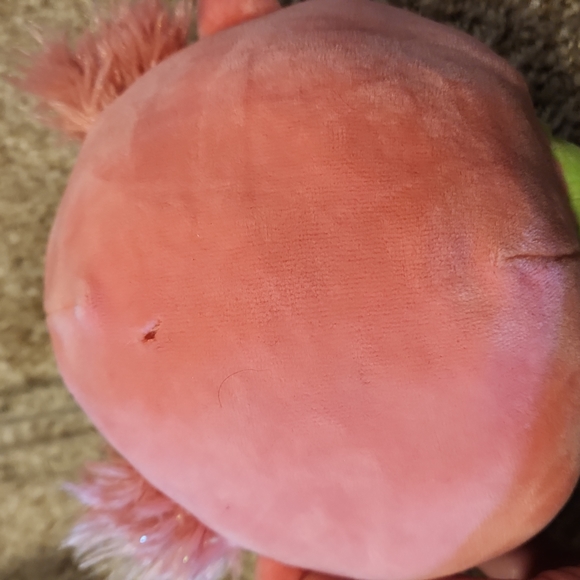 Axolotl Squishmallow Bundle - Picture 11 of 11